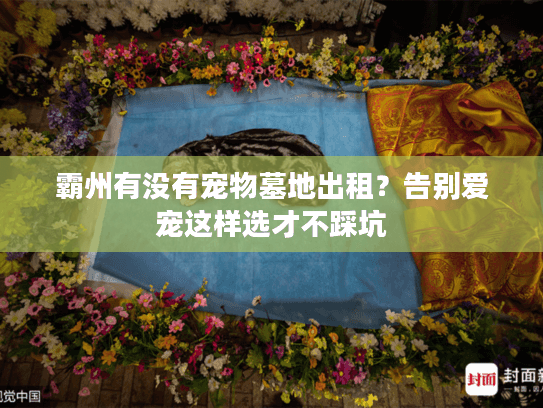 霸州有没有宠物墓地出租？告别爱宠这样选才不踩坑