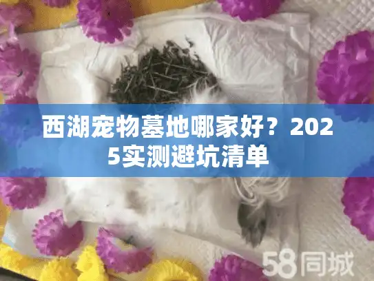 西湖宠物墓地哪家好？2025实测避坑清单