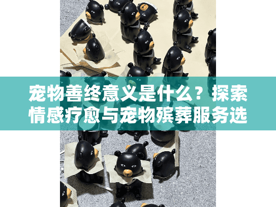 宠物善终意义是什么？探索情感疗愈与宠物殡葬服务选择
