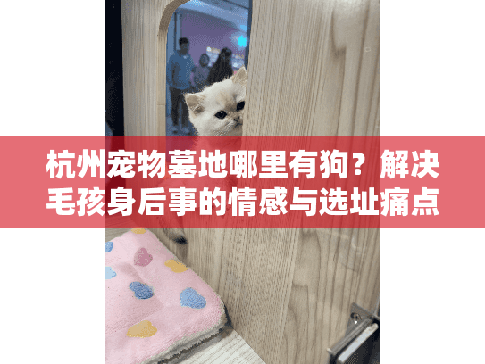 杭州宠物墓地哪里有狗？解决毛孩身后事的情感与选址痛点