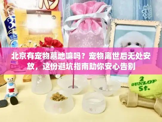 北京有宠物墓地嘛吗？宠物离世后无处安放，这份避坑指南助你安心告别
