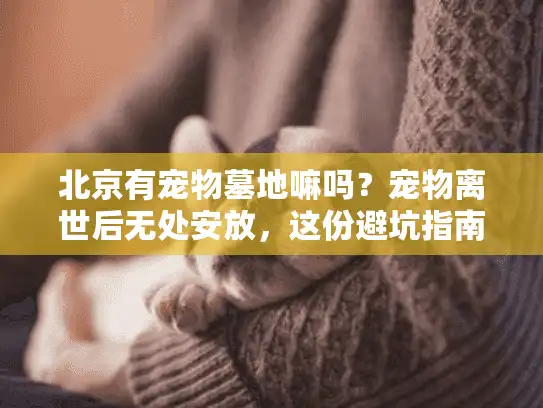北京有宠物墓地嘛吗？宠物离世后无处安放，这份避坑指南助你安心告别