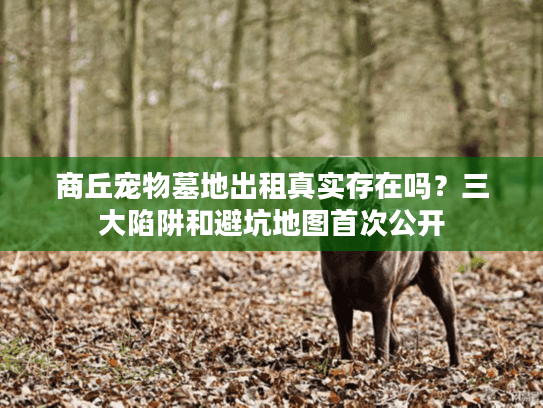 商丘宠物墓地出租真实存在吗?三大陷阱和避坑地图首次公开 商丘宠物墓地出租真实存在吗?三大陷阱和避坑地图首次公开