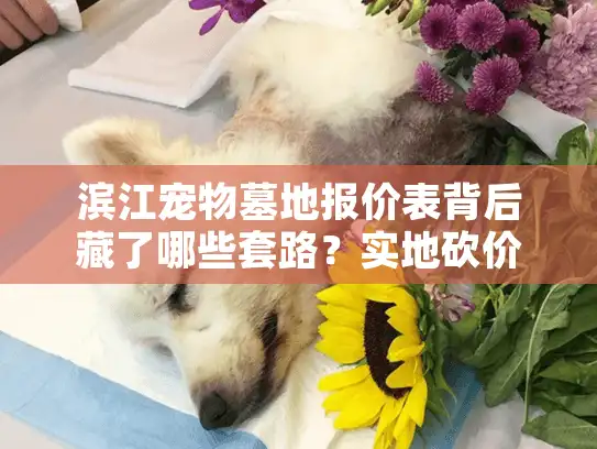 滨江宠物墓地报价表背后藏了哪些套路?实地砍价避坑指南 滨江宠物墓地报价表背后藏了哪些套路?实地砍价避坑指南