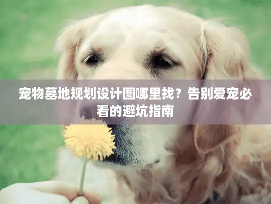 宠物墓地规划设计图哪里找？告别爱宠必看的避坑指南
