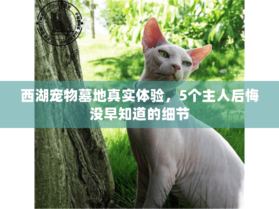 西湖宠物墓地真实体验,5个主人后悔没早知道的细节 西湖宠物墓地真实体验,5个主人后悔没早知道的细节