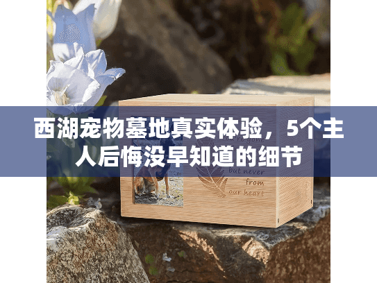 西湖宠物墓地真实体验,5个主人后悔没早知道的细节 西湖宠物墓地真实体验,5个主人后悔没早知道的细节