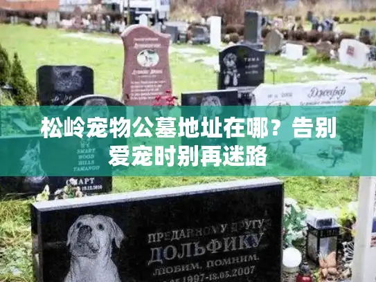 松岭宠物公墓地址在哪?告别爱宠时别再迷路 松岭宠物公墓地址在哪?告别爱宠时别再迷路