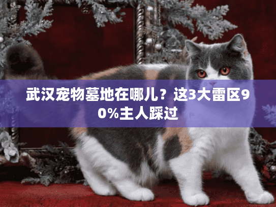 武汉宠物墓地在哪儿？这3大雷区90%主人踩过