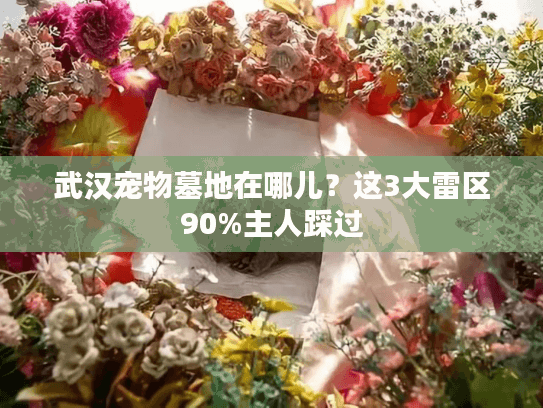 武汉宠物墓地在哪儿？这3大雷区90%主人踩过