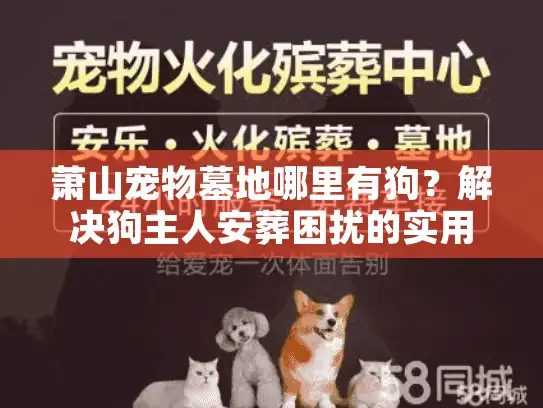 萧山宠物墓地哪里有狗？解决狗主人安葬困扰的实用指南