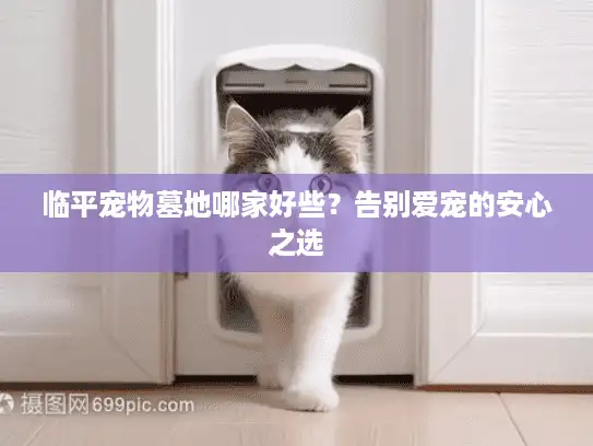 临平宠物墓地哪家好些?告别爱宠的安心之选 临平宠物墓地哪家好些?告别爱宠的安心之选