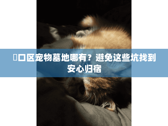 硚口区宠物墓地哪有？避免这些坑找到安心归宿