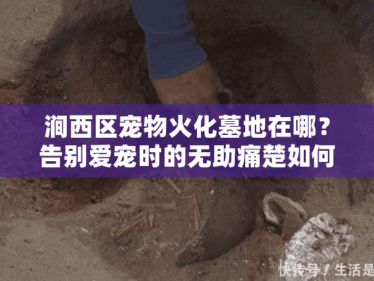 涧西区宠物火化墓地在哪?告别爱宠时的无助痛楚如何化解 涧西区宠物火化墓地在哪?告别爱宠时的无助痛楚如何化解