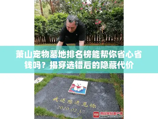 萧山宠物墓地排名榜能帮你省心省钱吗?揭穿选错后的隐藏代价 萧山宠物墓地排名榜能帮你省心省钱吗?揭穿选错后的隐藏代价