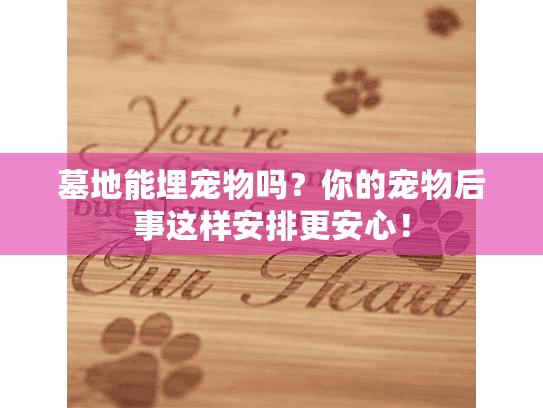 墓地能埋宠物吗？你的宠物后事这样安排更安心！