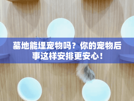 墓地能埋宠物吗？你的宠物后事这样安排更安心！