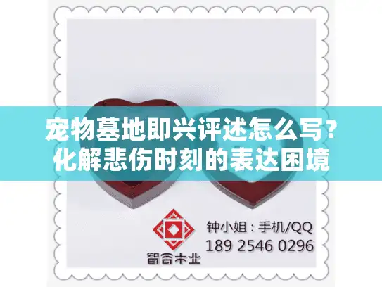 宠物墓地即兴评述怎么写？化解悲伤时刻的表达困境