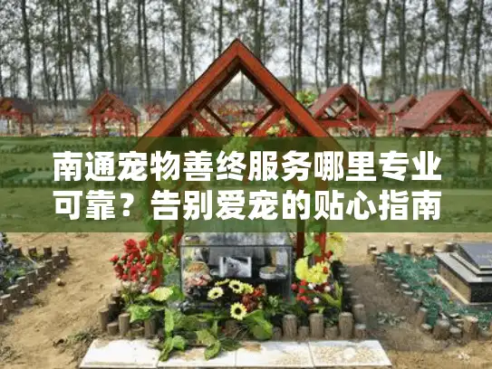 南通宠物善终服务哪里专业可靠？告别爱宠的贴心指南