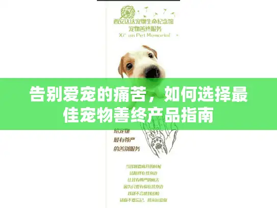 告别爱宠的痛苦，如何选择最佳宠物善终产品指南