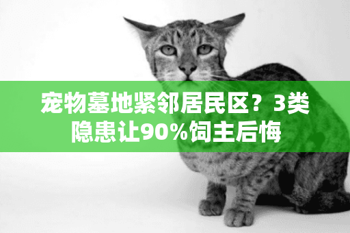 宠物墓地紧邻居民区？3类隐患让90%饲主后悔