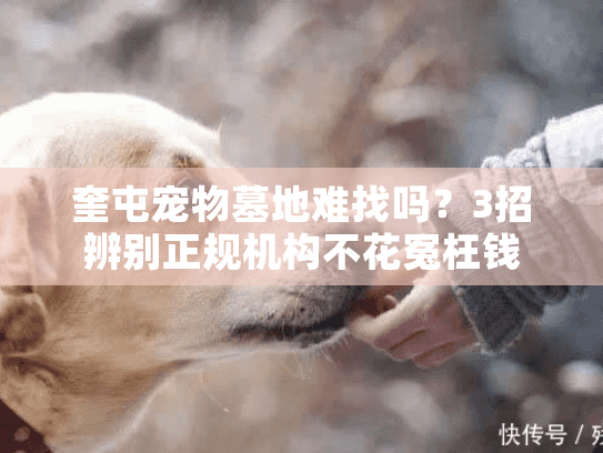 奎屯宠物墓地难找吗?3招辨别正规机构不花冤枉钱 奎屯宠物墓地难找吗?3招辨别正规机构不花冤枉钱