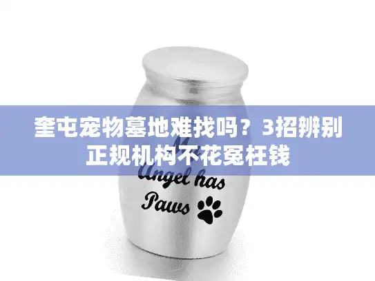 奎屯宠物墓地难找吗?3招辨别正规机构不花冤枉钱 奎屯宠物墓地难找吗?3招辨别正规机构不花冤枉钱