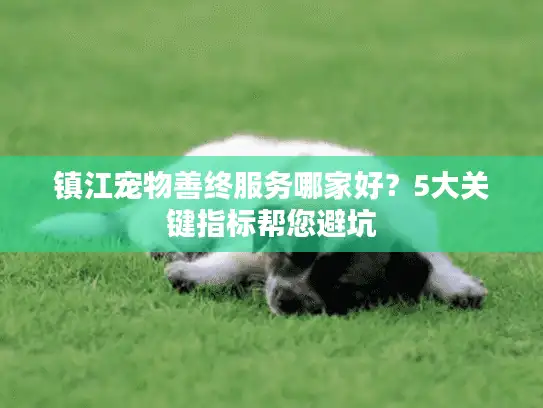 镇江宠物善终服务哪家好?5大关键指标帮您避坑 镇江宠物善终服务哪家好?5大关键指标帮您避坑