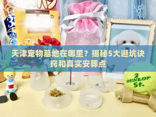 天津宠物墓地在哪里？揭秘5大避坑诀窍和真实安葬点