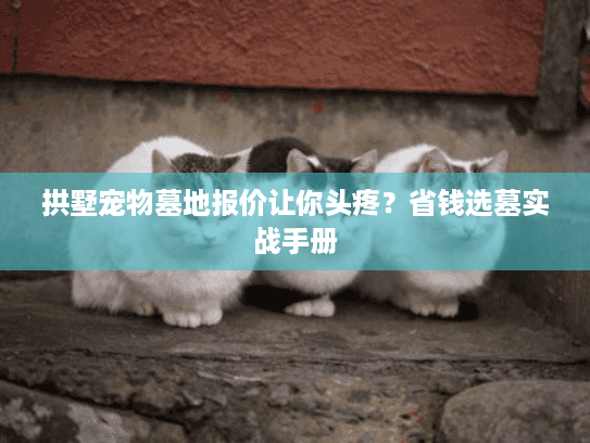 拱墅宠物墓地报价让你头疼？省钱选墓实战手册