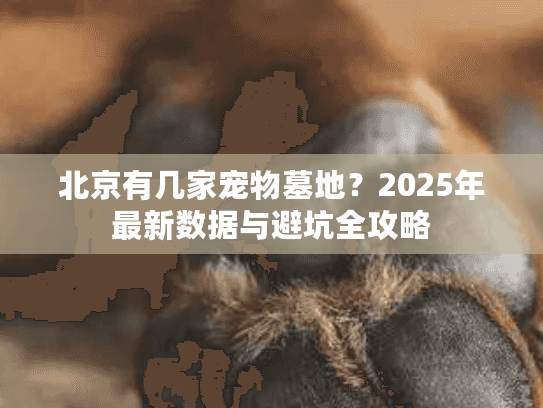 北京有几家宠物墓地？2025年最新数据与避坑全攻略
