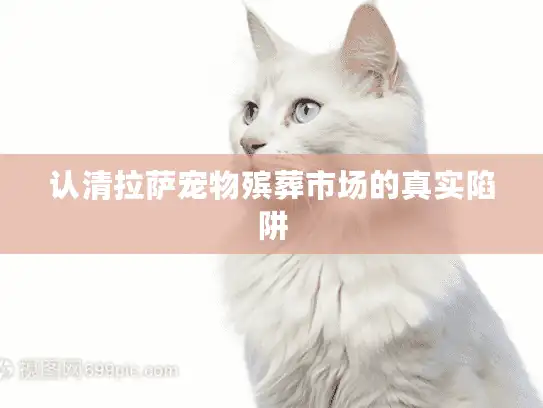 认清拉萨宠物殡葬市场的真实陷阱