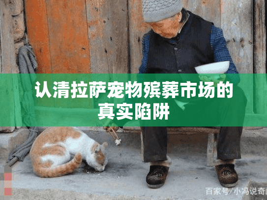 认清拉萨宠物殡葬市场的真实陷阱