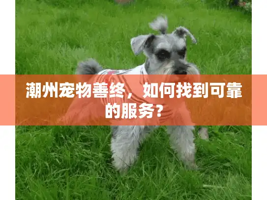 潮州宠物善终,如何找到可靠的服务? 潮州宠物善终,如何找到可靠的服务?