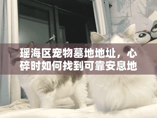 瑶海区宠物墓地地址，心碎时如何找到可靠安息地？真实步骤大公开