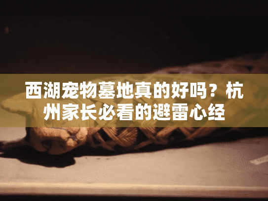 西湖宠物墓地真的好吗？杭州家长必看的避雷心经