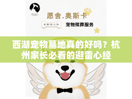 西湖宠物墓地真的好吗？杭州家长必看的避雷心经