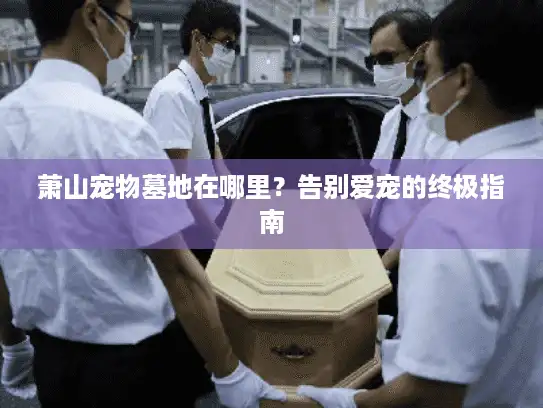 萧山宠物墓地在哪里？告别爱宠的终极指南