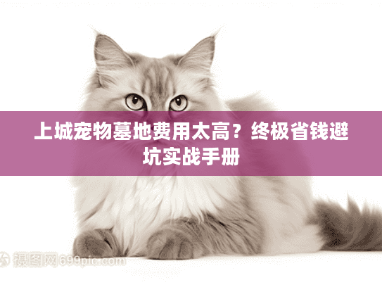 上城宠物墓地费用太高?终极省钱避坑实战手册 上城宠物墓地费用太高?终极省钱避坑实战手册