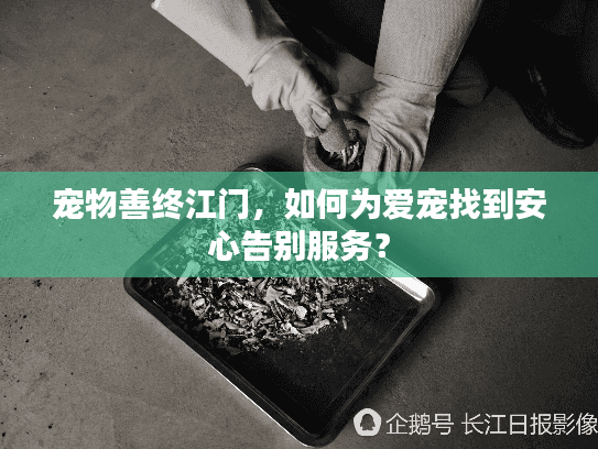 宠物善终江门，如何为爱宠找到安心告别服务？