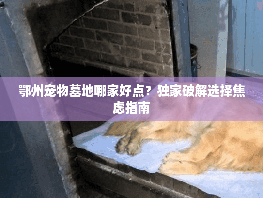 鄂州宠物墓地哪家好点?独家破解选择焦虑指南 鄂州宠物墓地哪家好点?独家破解选择焦虑指南