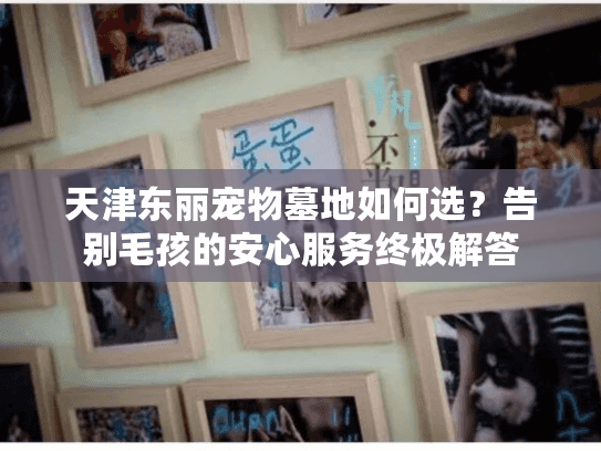 天津东丽宠物墓地如何选？告别毛孩的安心服务终极解答