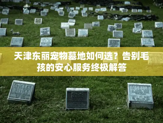 天津东丽宠物墓地如何选？告别毛孩的安心服务终极解答