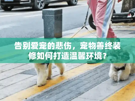 告别爱宠的悲伤，宠物善终装修如何打造温馨环境？