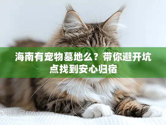 海南有宠物墓地么?带你避开坑点找到安心归宿 海南有宠物墓地么?带你避开坑点找到安心归宿