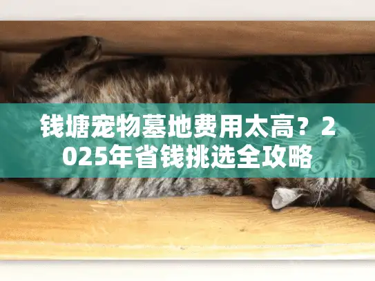 钱塘宠物墓地费用太高?2025年省钱挑选全攻略 钱塘宠物墓地费用太高?2025年省钱挑选全攻略
