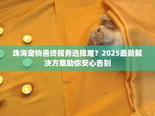 珠海宠物善终服务选择难？2025最新解决方案助你安心告别
