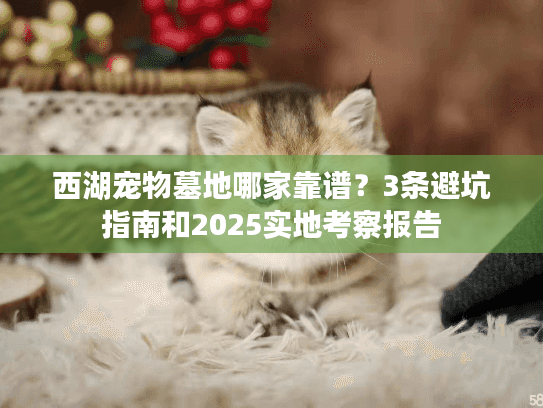 西湖宠物墓地哪家靠谱?3条避坑指南和2025实地考察报告 西湖宠物墓地哪家靠谱?3条避坑指南和2025实地考察报告