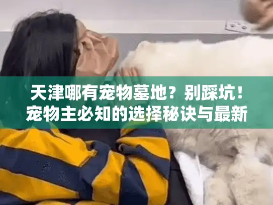 天津哪有宠物墓地？别踩坑！宠物主必知的选择秘诀与最新避坑指南