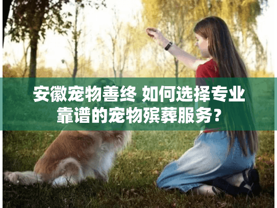 安徽宠物善终 如何选择专业靠谱的宠物殡葬服务？